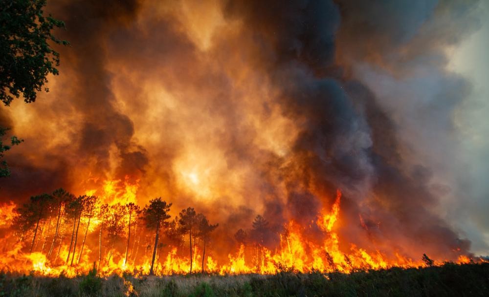 This photo provided by the fire brigade of the Gironde region (SDIS 33) shows a wildfire near Landiras, southwestern France, Saturday July 16, 2022 . Strong winds and hot, dry weather are frustrating French firefighters' efforts to contain a huge wildfire that raced across pine forests in the Bordeaux region Saturday for a fifth straight day, one of several scorching Europe in recent days. (SDIS 33 via AP)